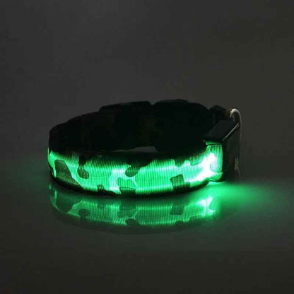 Glow in the dark dog collar-LED Dog Collar