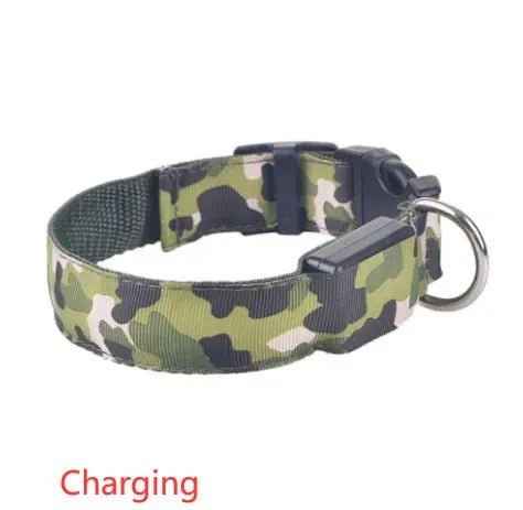 Glow in the dark dog collar-LED Dog Collar
