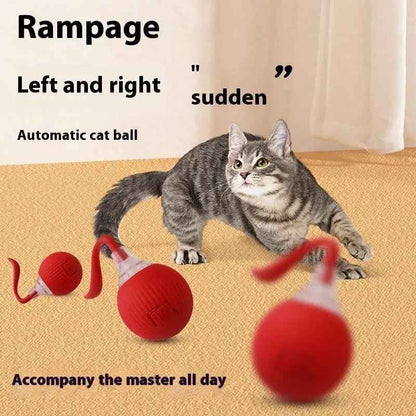 Interactive Cat Toy Ball Super Drive Cat Rolling