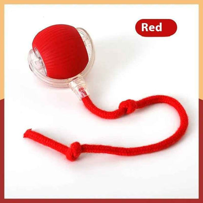 Interactive Cat Toy Ball Super Drive Cat Rolling