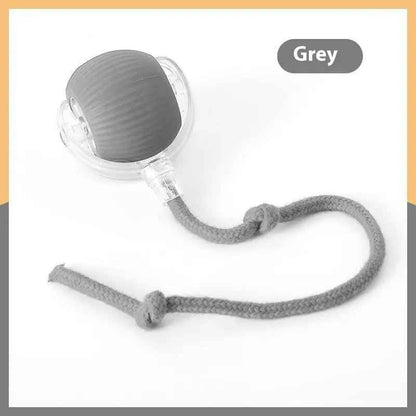 Interactive Cat Toy Ball Super Drive Cat Rolling