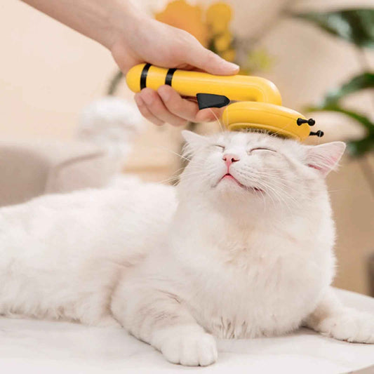 Little Bee Brush