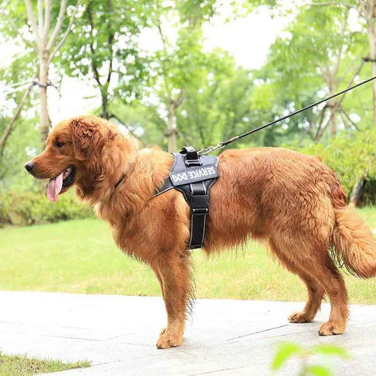 personalized dog harness Reflective Dog Harness