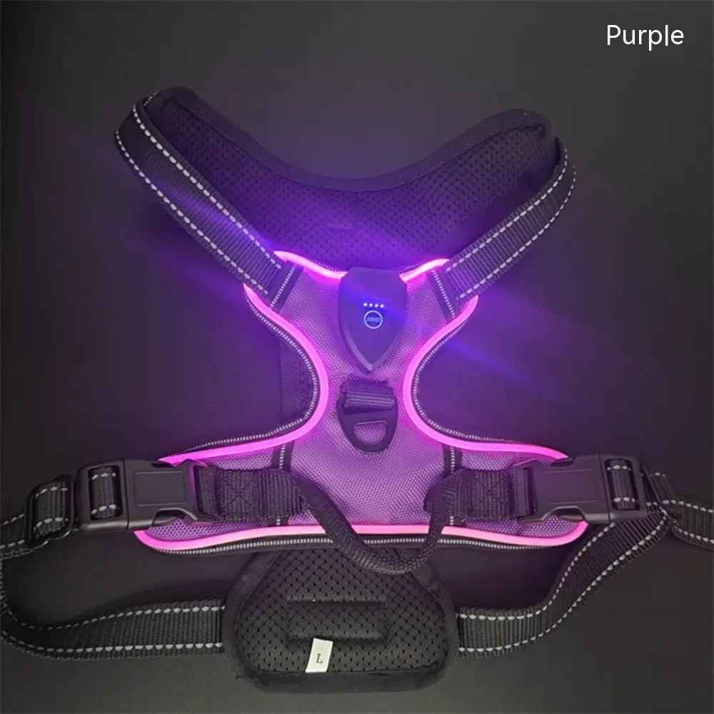 Pet safety vest