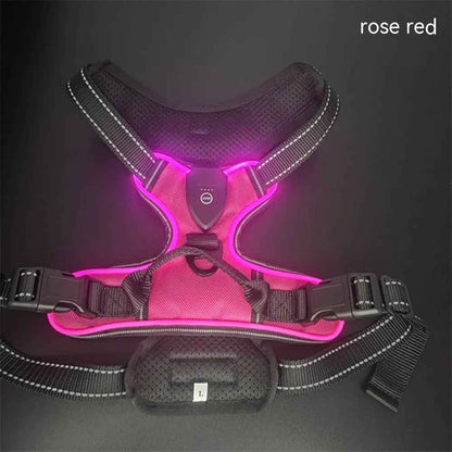 Pet safety vest