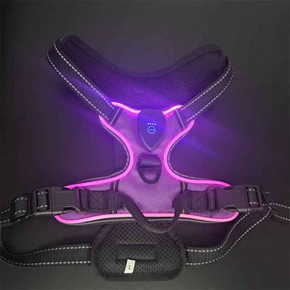 Pet safety vest