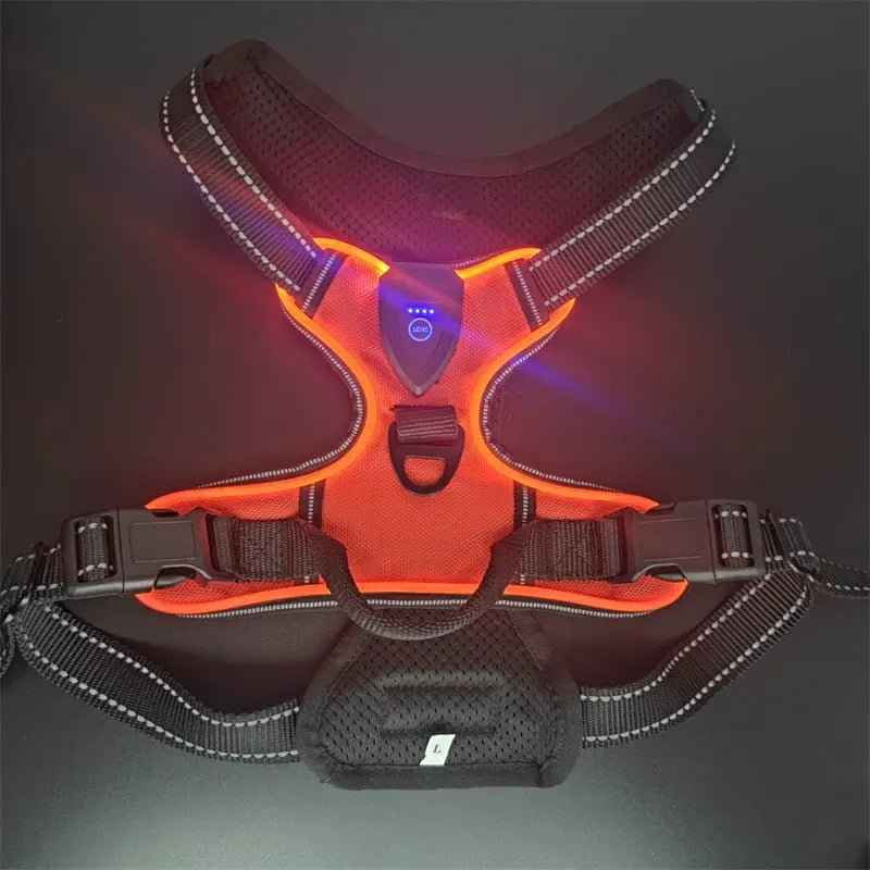 Pet safety vest