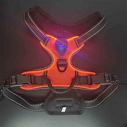 Pet safety vest