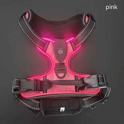 Pet safety vest