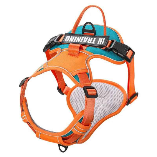 Reflective harness -Reflective Safety Harness