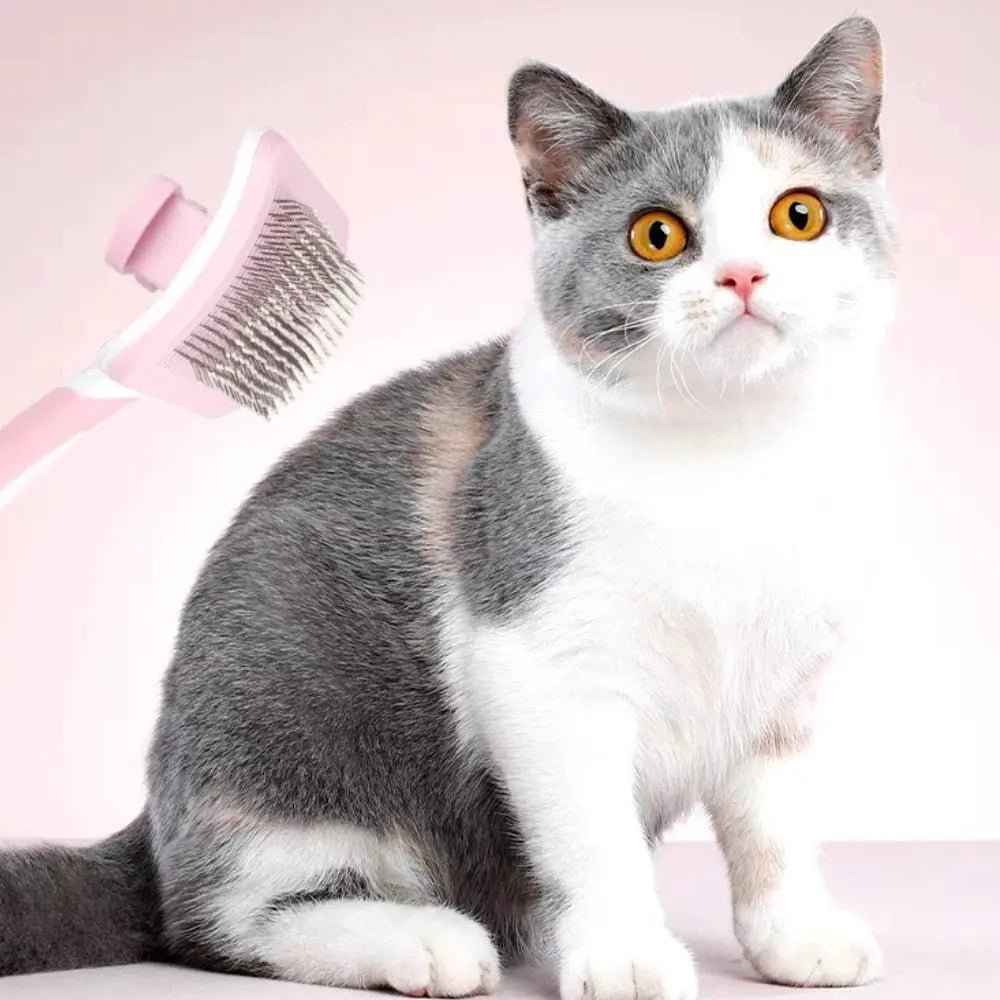 self cleaning brushs One Click Cleaning Function